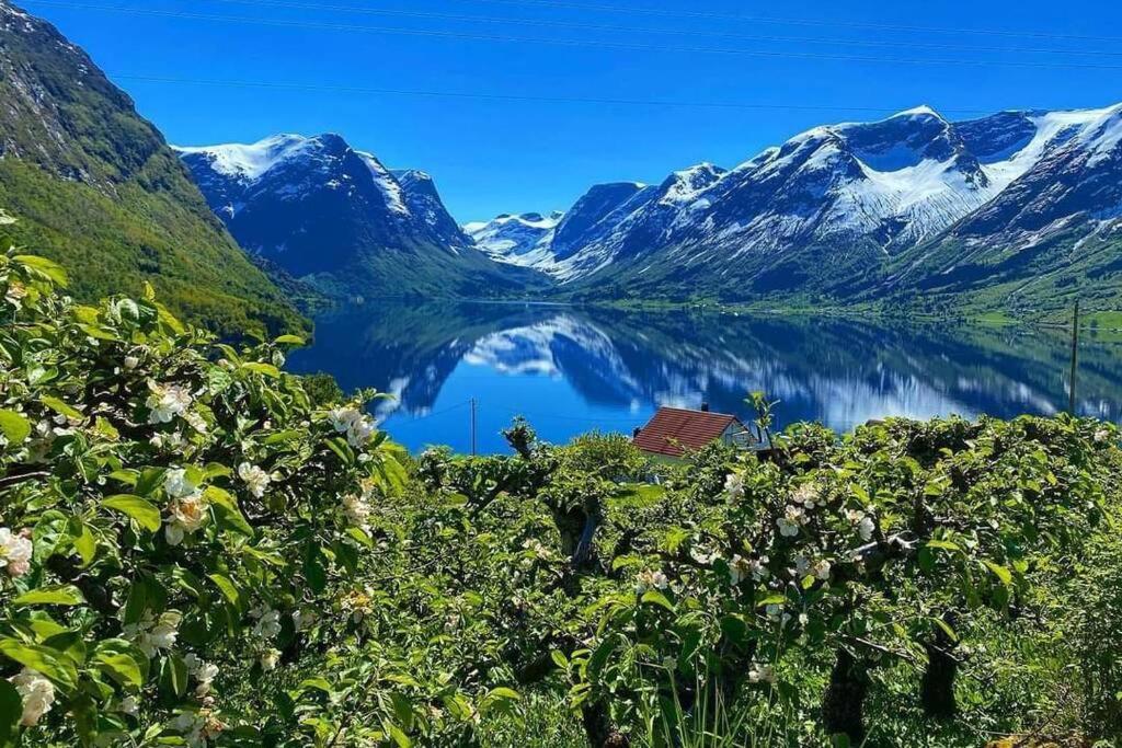 Hébergement de vacances Flohytta